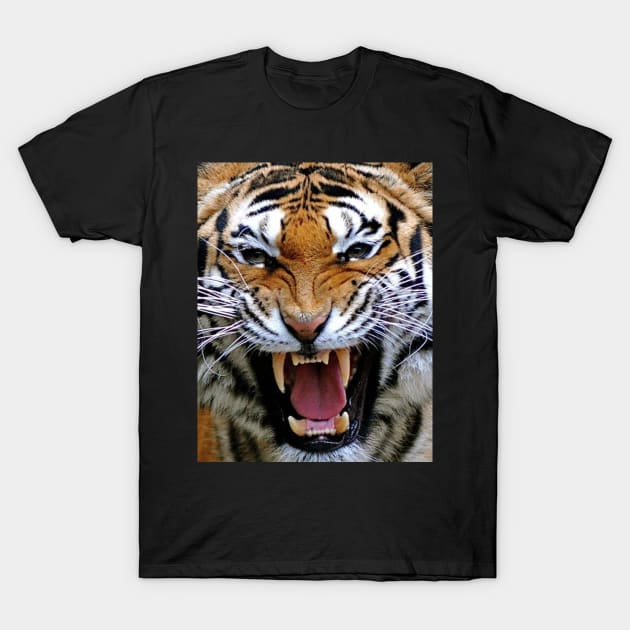 Tiger Head T-Shirt by TrazZinkitt